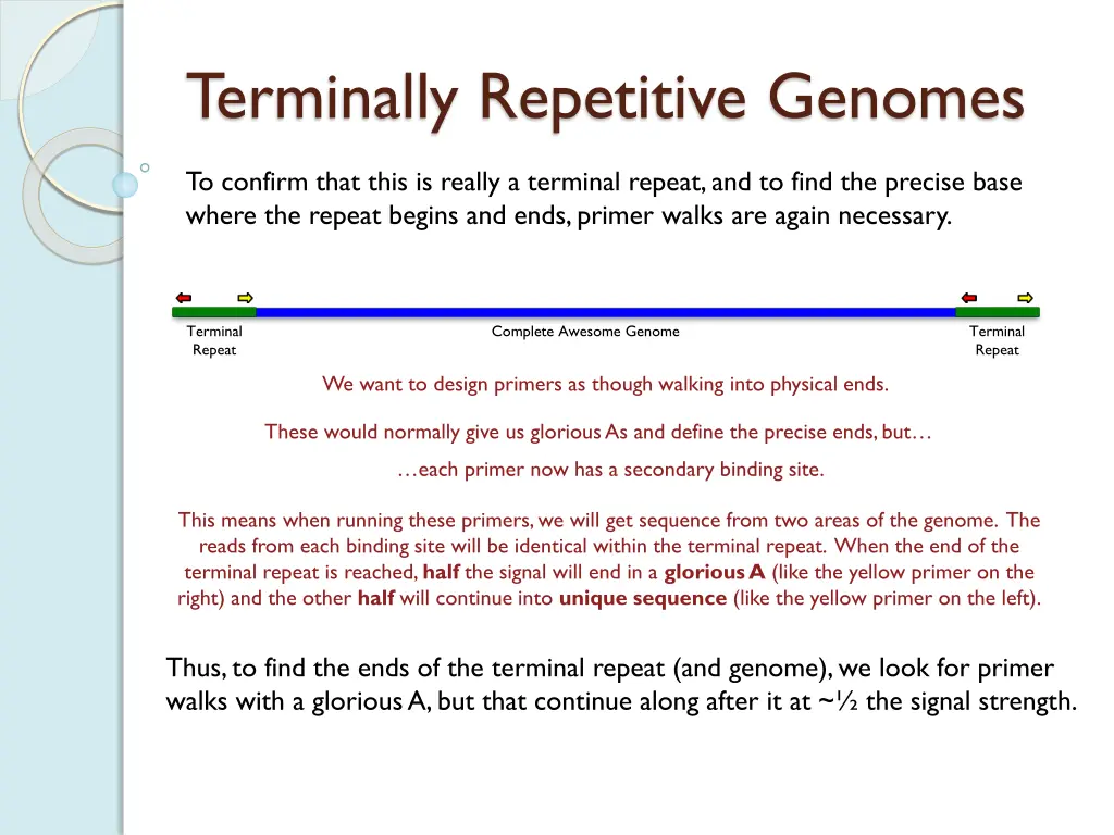 terminally repetitive genomes 2