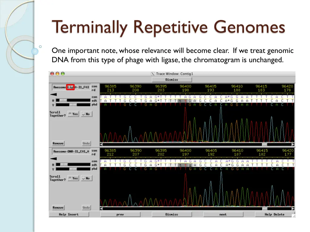 terminally repetitive genomes 5