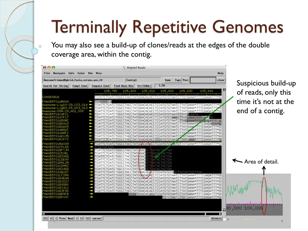 terminally repetitive genomes you may also