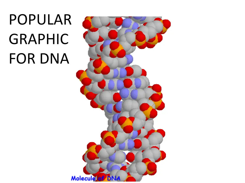 popular graphic for dna