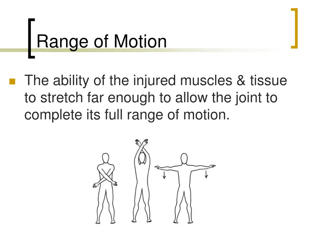 range of motion 1