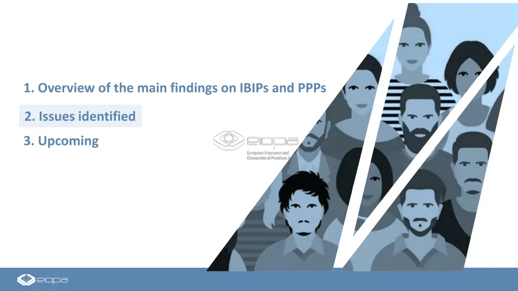 1 overview of the main findings on ibips and ppps