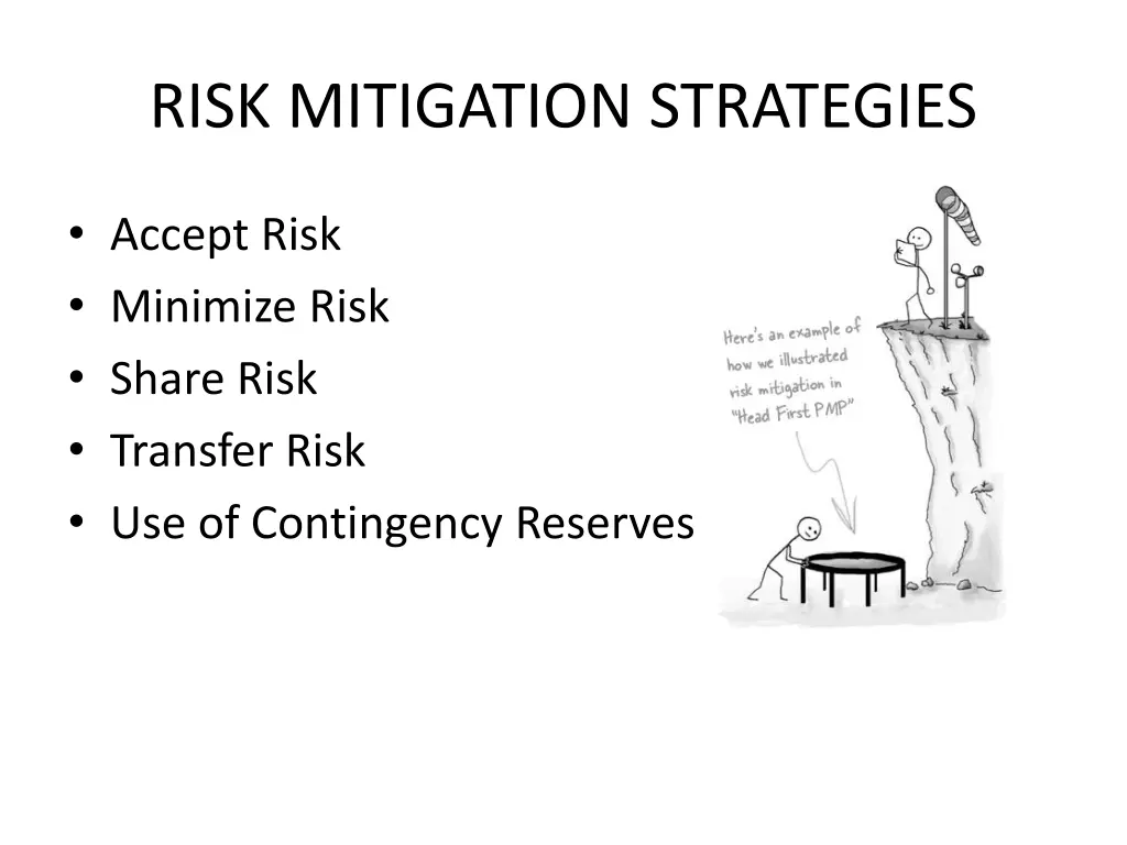 risk mitigation strategies