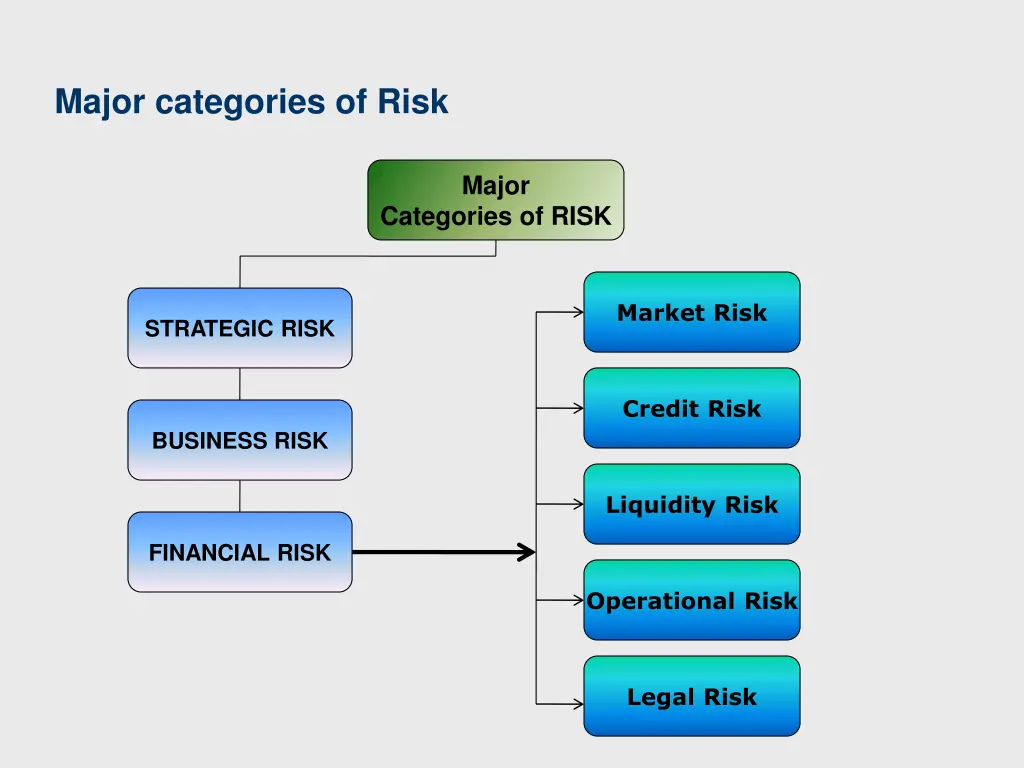 major categories of risk