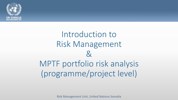 introduction to risk management mptf portfolio