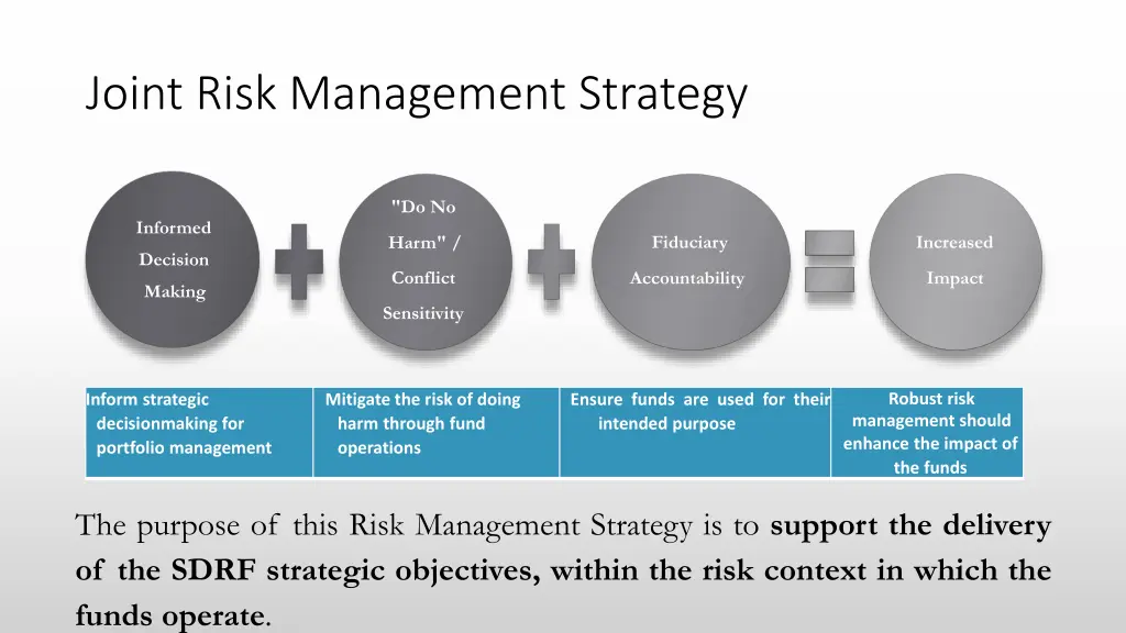 joint risk management strategy