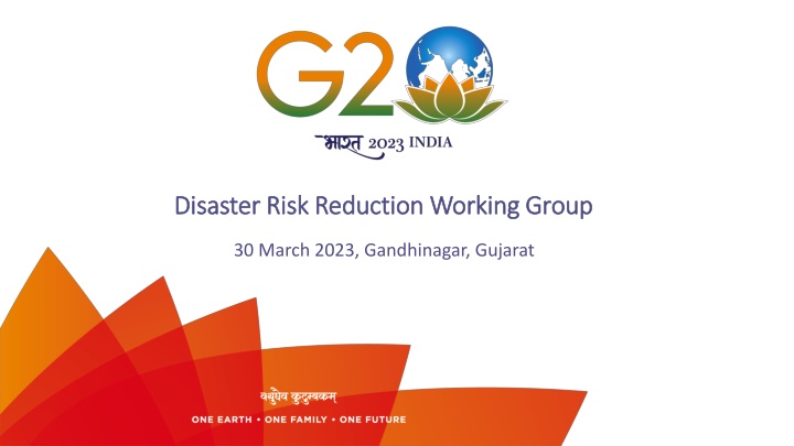 disaster risk reduction working group disaster