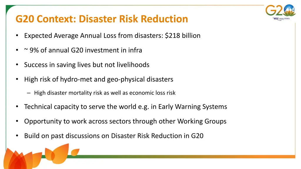 g20 context disaster risk reduction