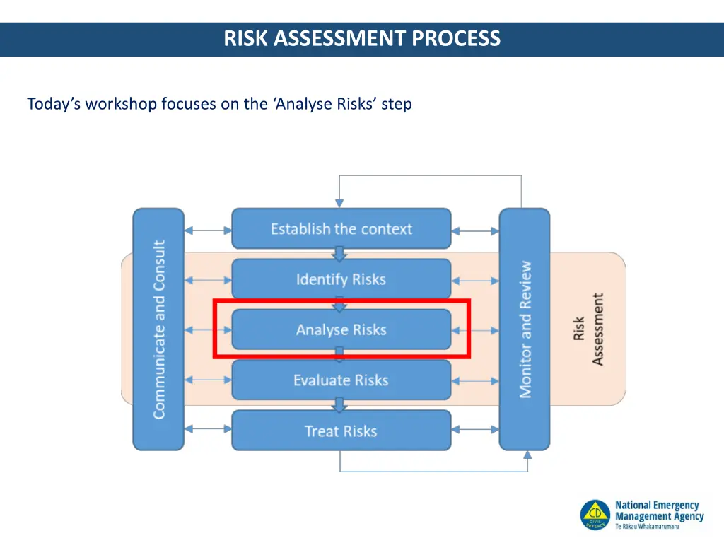 risk assessment process 1