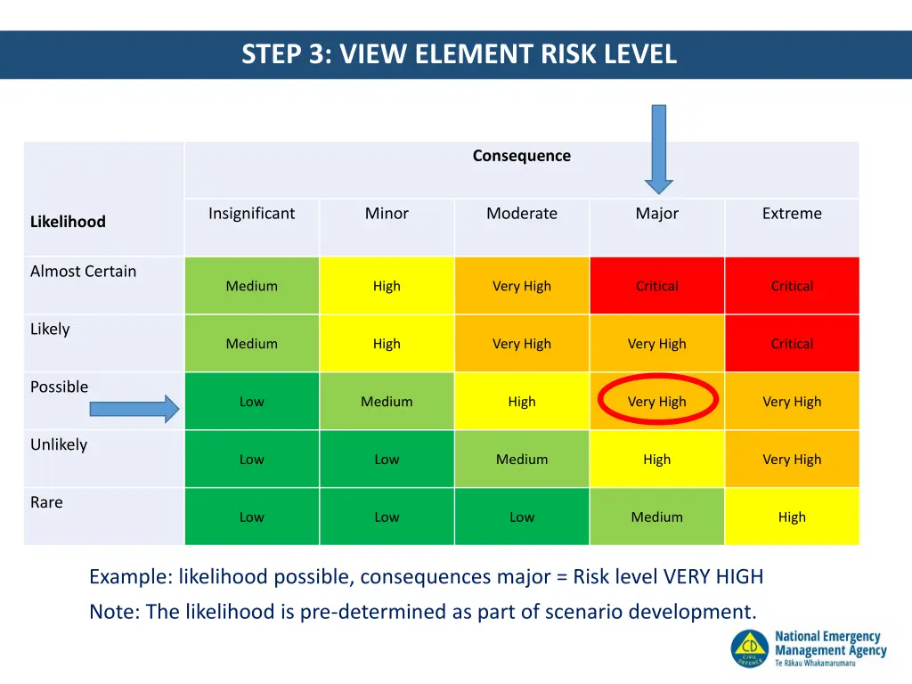 step 3 view element risk level