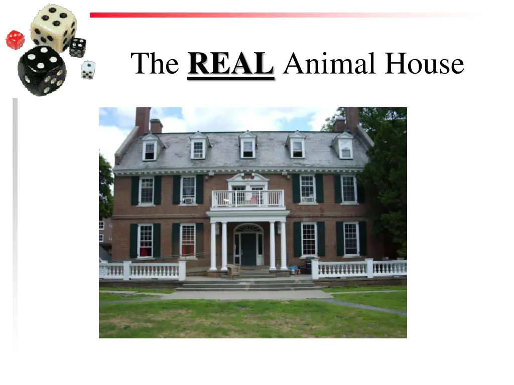 the real animal house