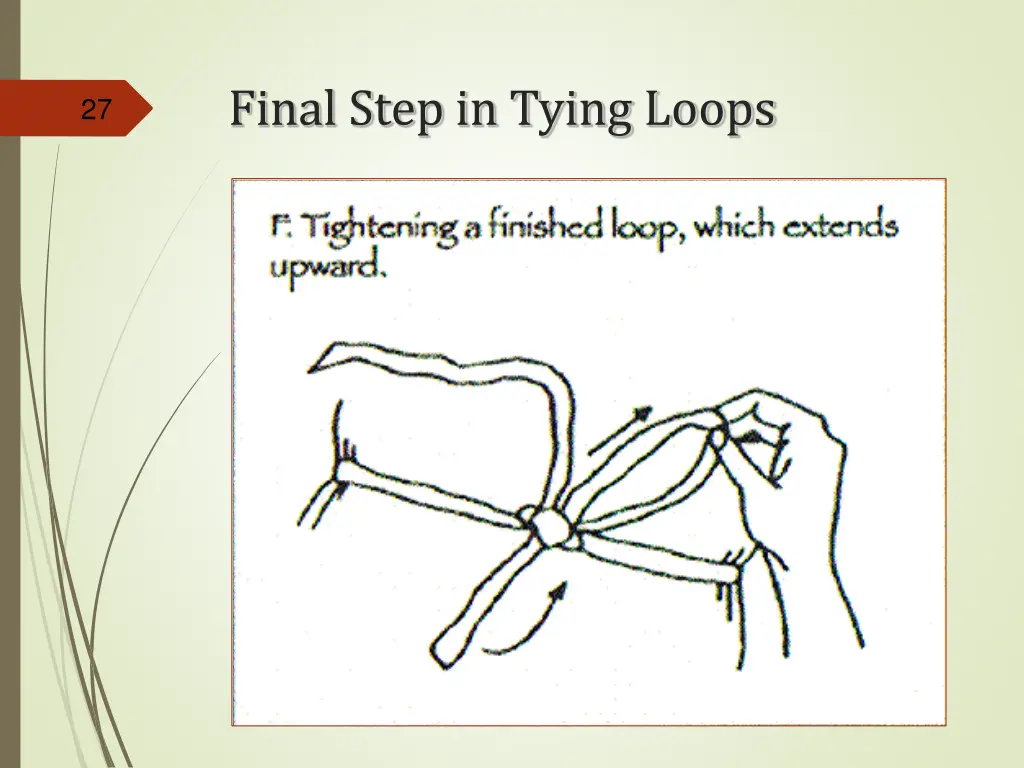 final step in tying loops