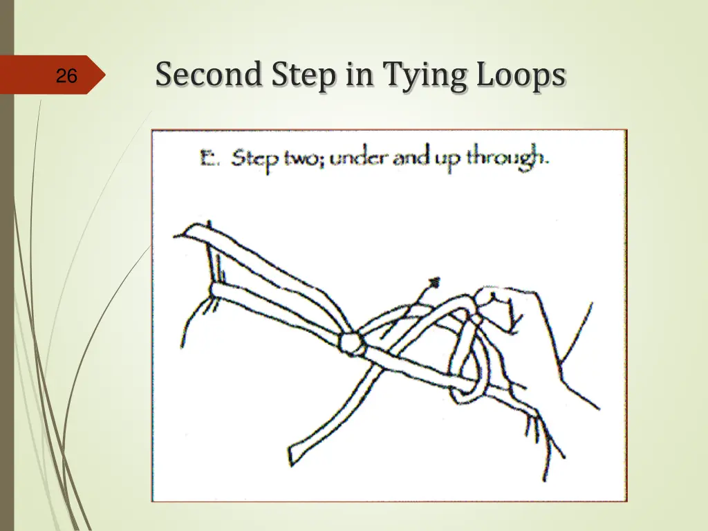 second step in tying loops