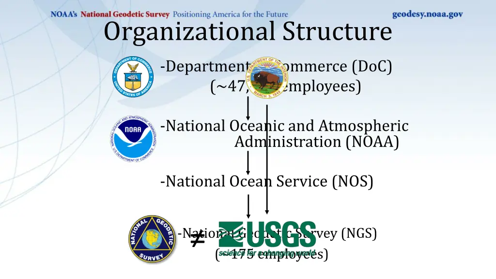 organizational structure 1