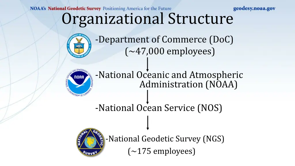 organizational structure