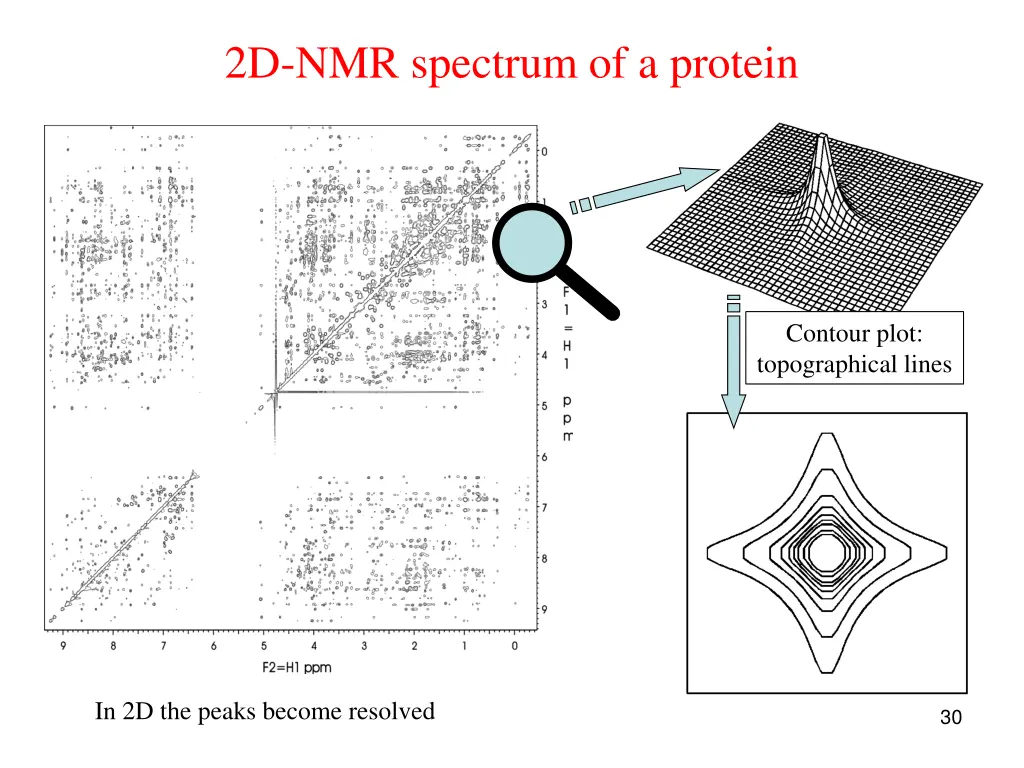 2d nmr spectrum of a protein