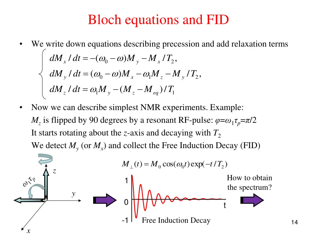 bloch equations and fid