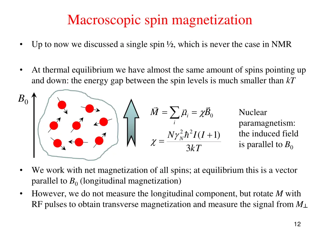 macroscopic spin magnetization