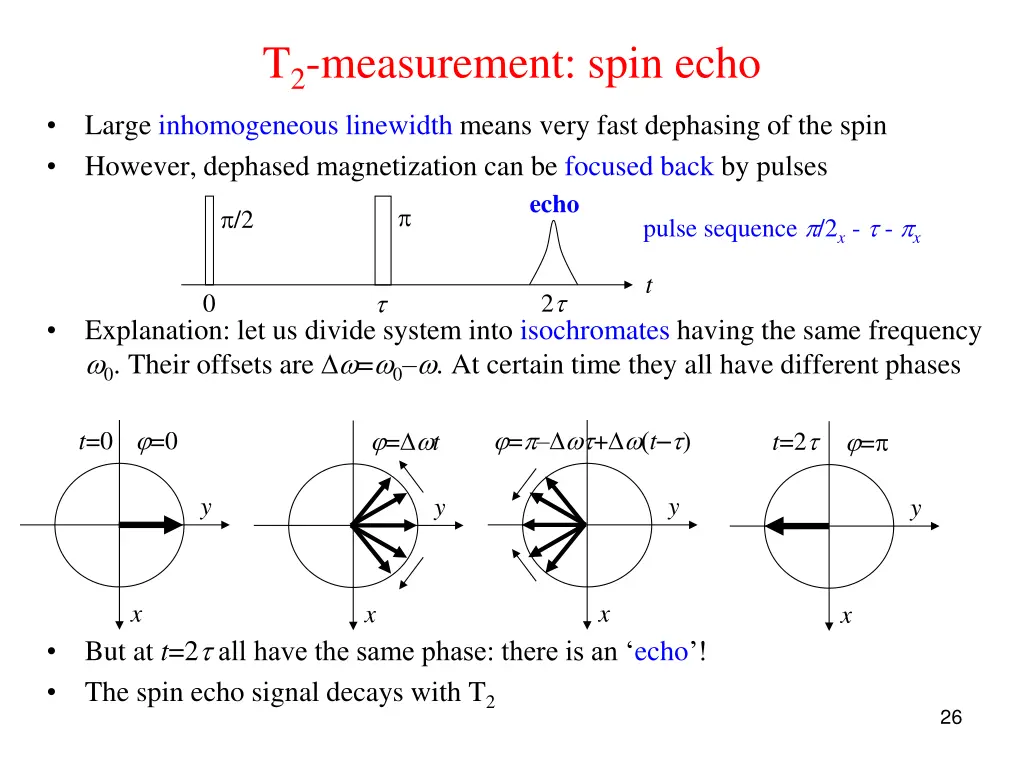 t 2 measurement spin echo large inhomogeneous