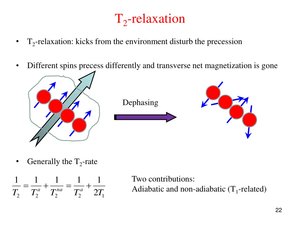 t 2 relaxation