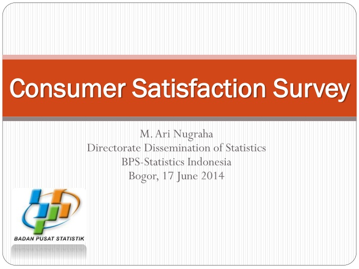 consumer consumer satisfaction satisfaction survey