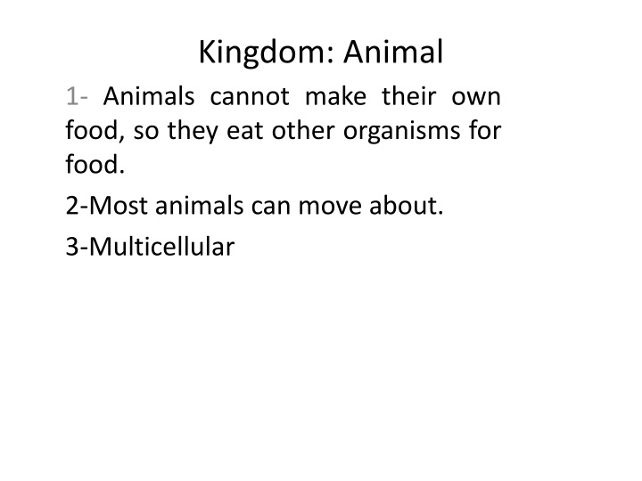 kingdom animal