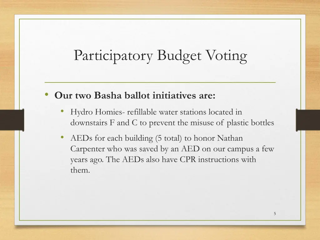 participatory budget voting