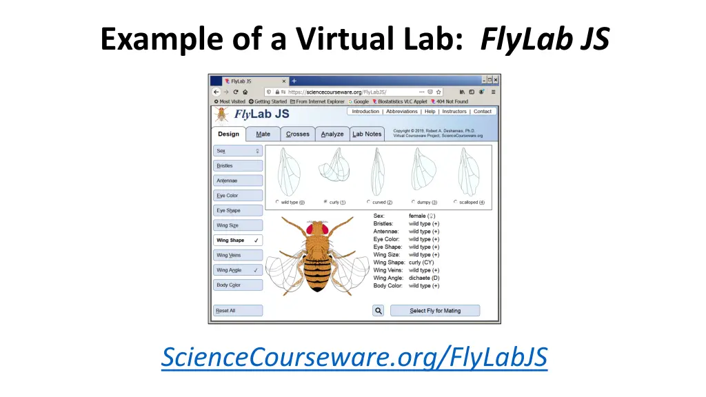 example of a virtual lab flylab js