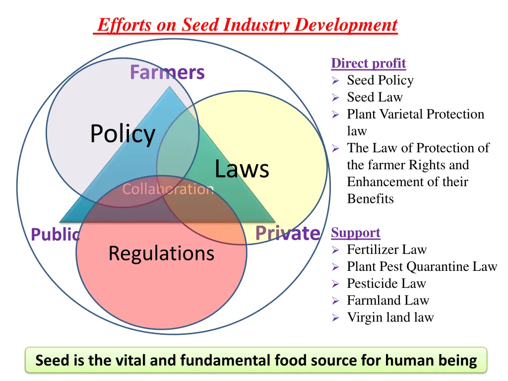 efforts on seed industry development