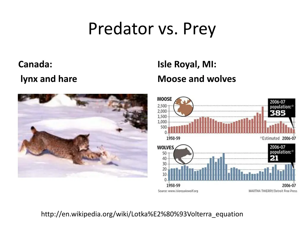 predator vs prey