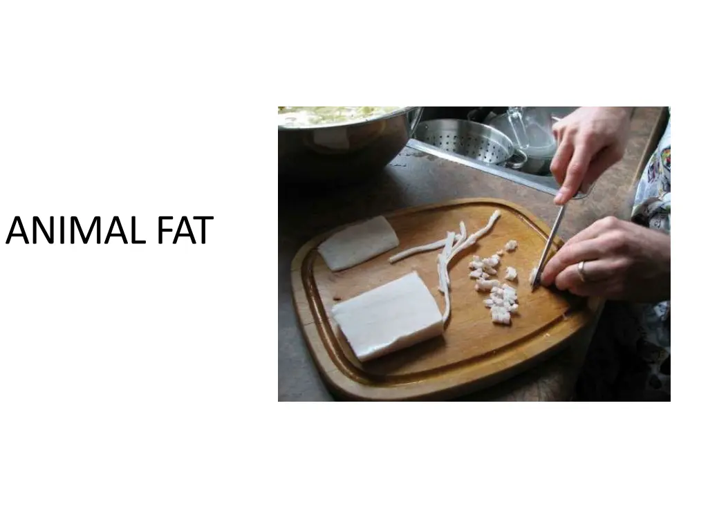 animal fat