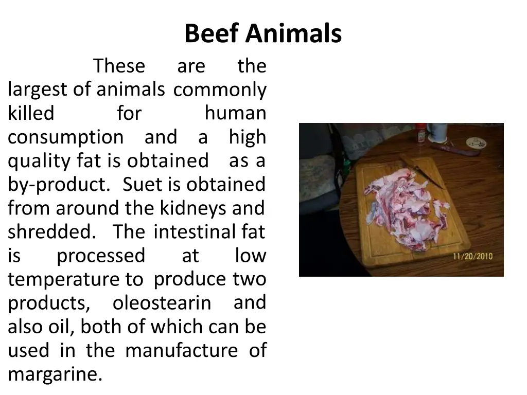 beef animals are the commonly human and a high