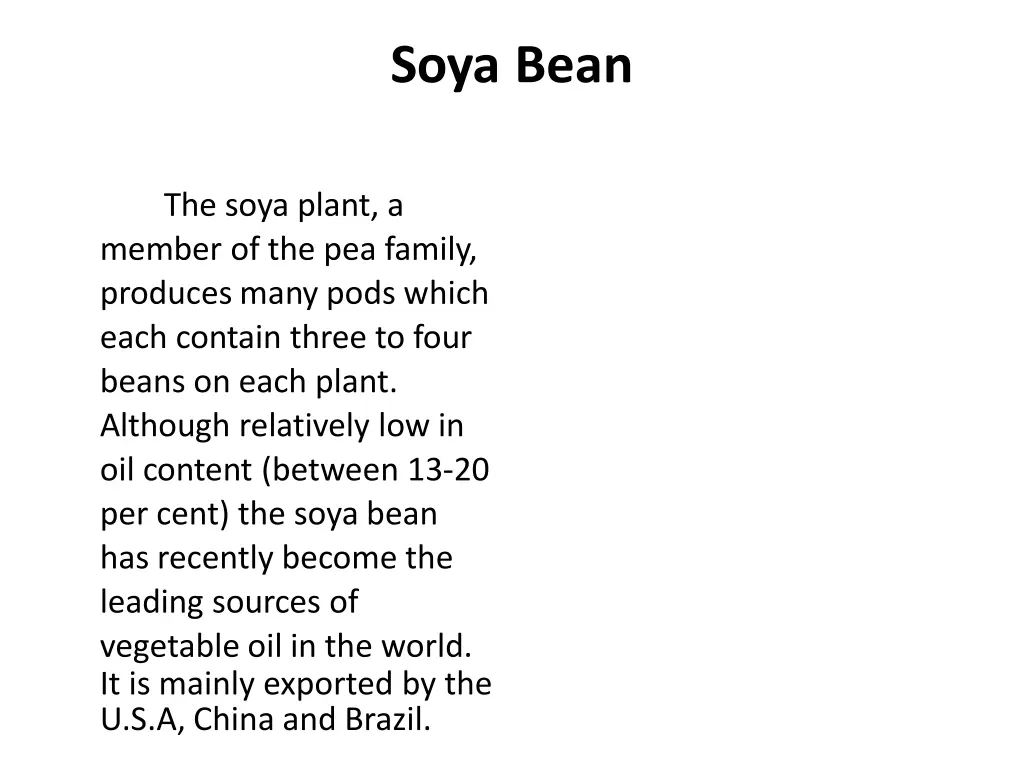 soya bean