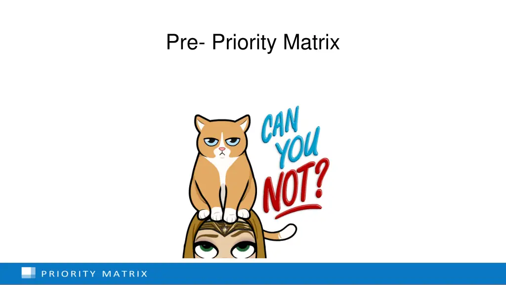 pre priority matrix