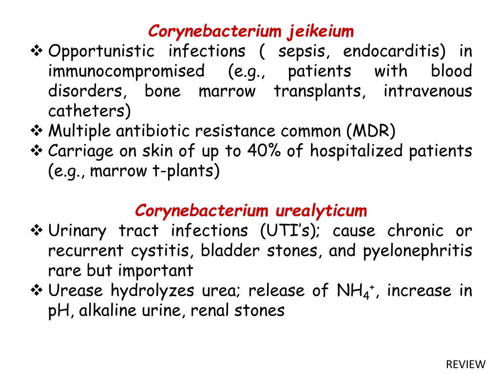 corynebacterium jeikeium