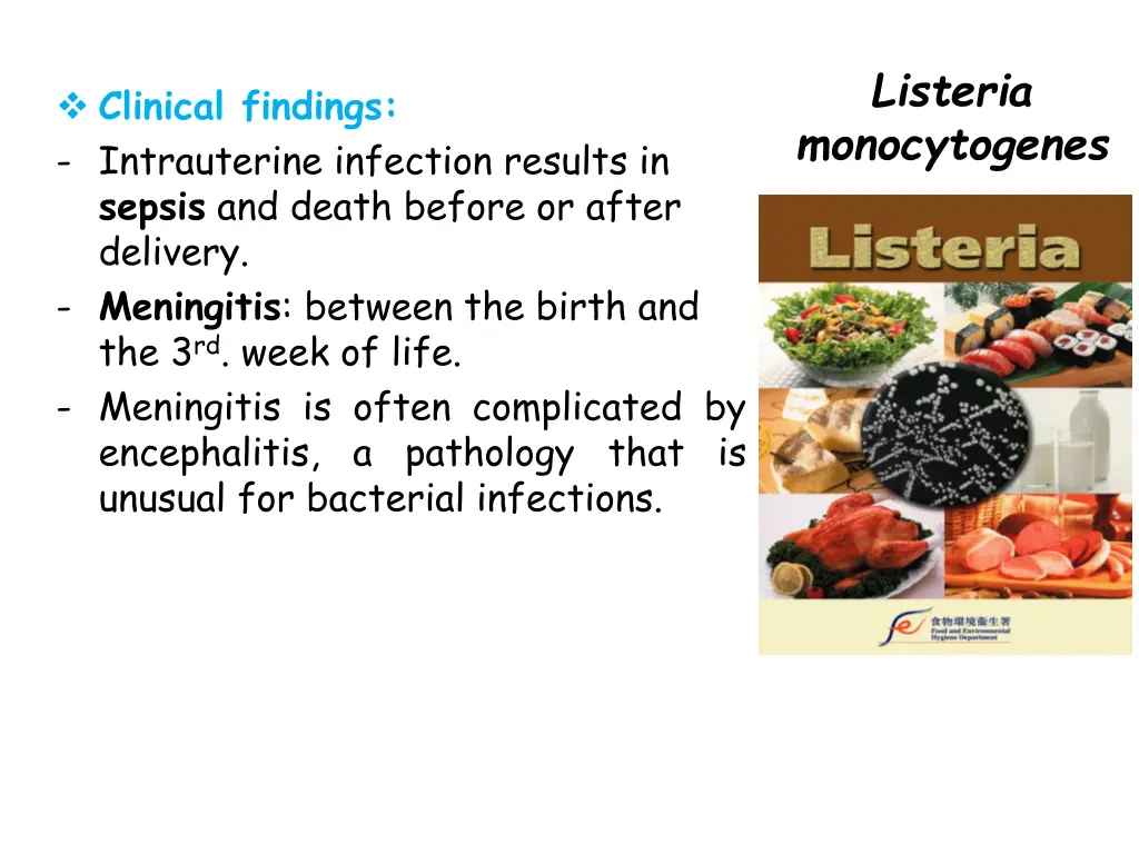 listeria monocytogenes