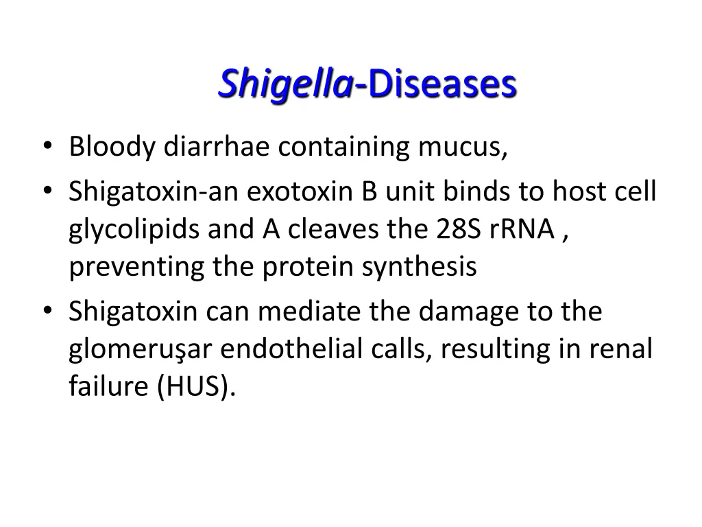 shigella diseases