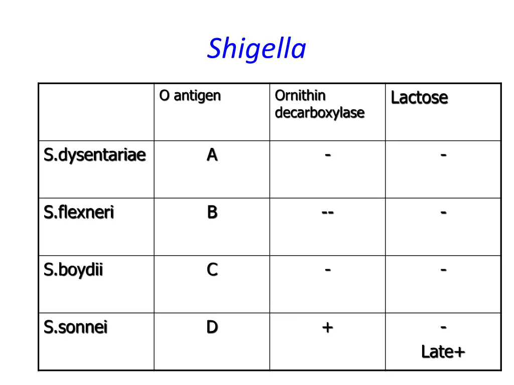 shigella