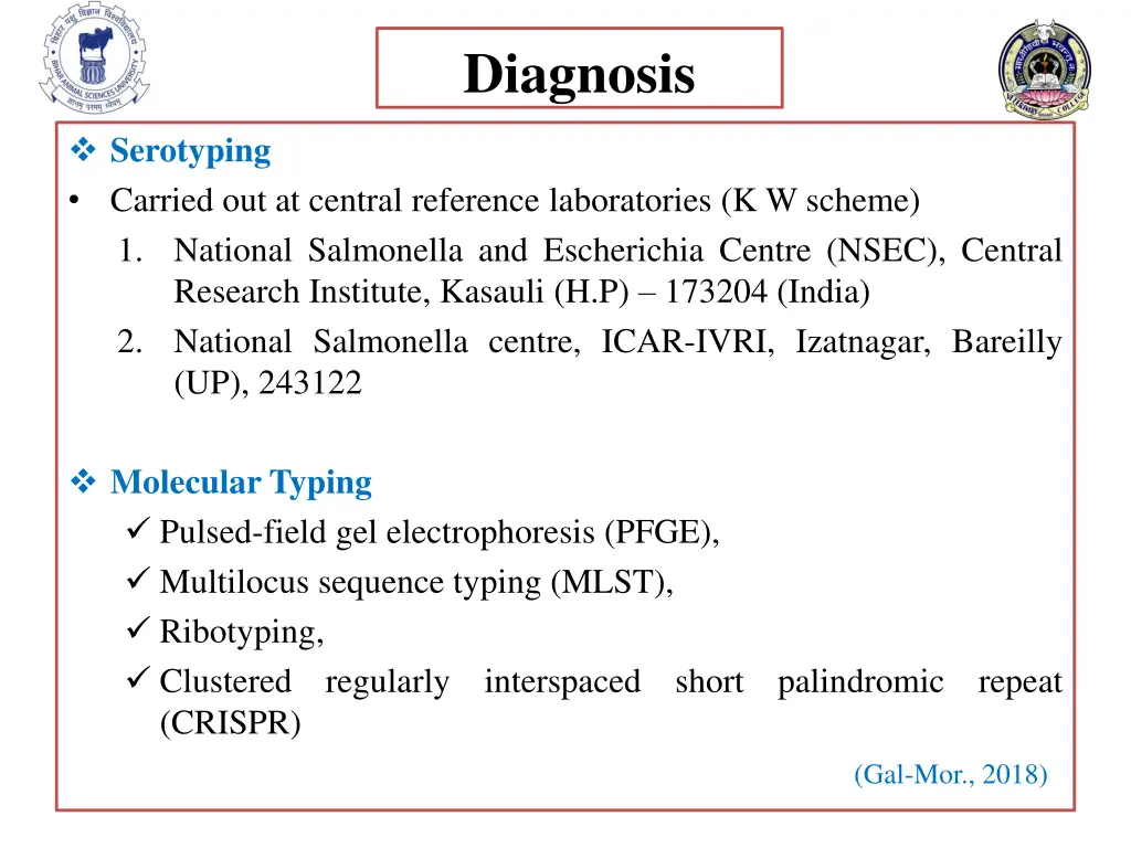 diagnosis 3