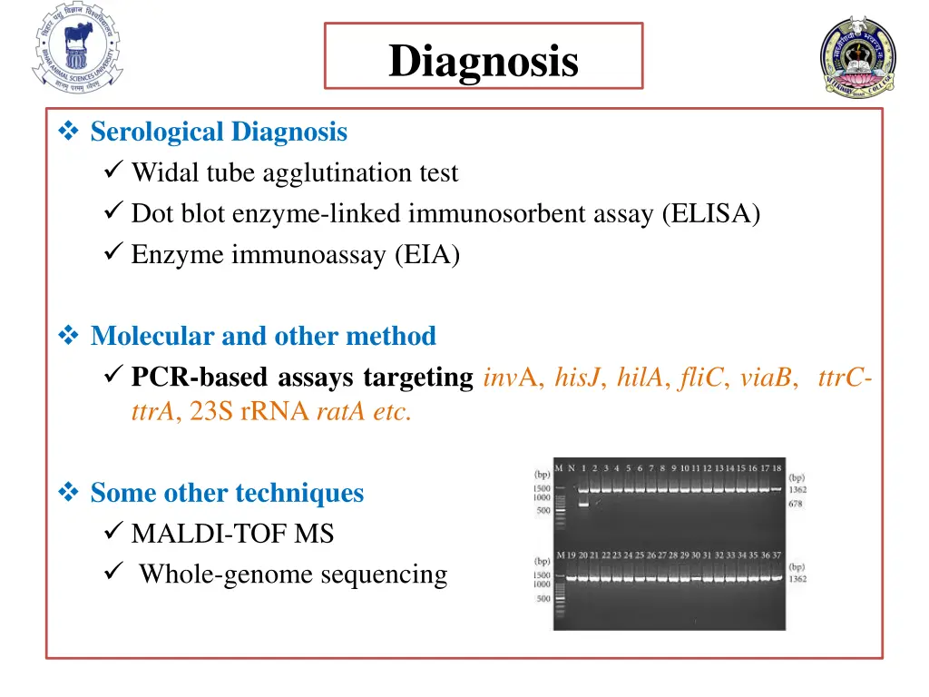 diagnosis 4