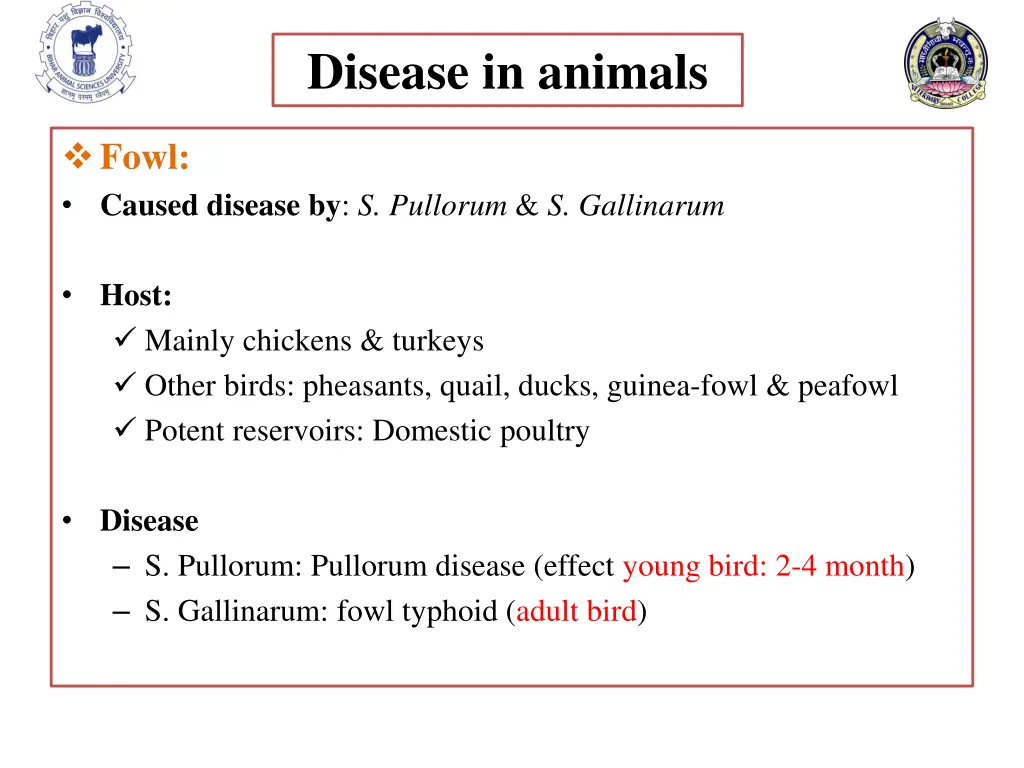 disease in animals 5