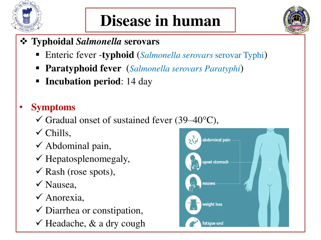 disease in human