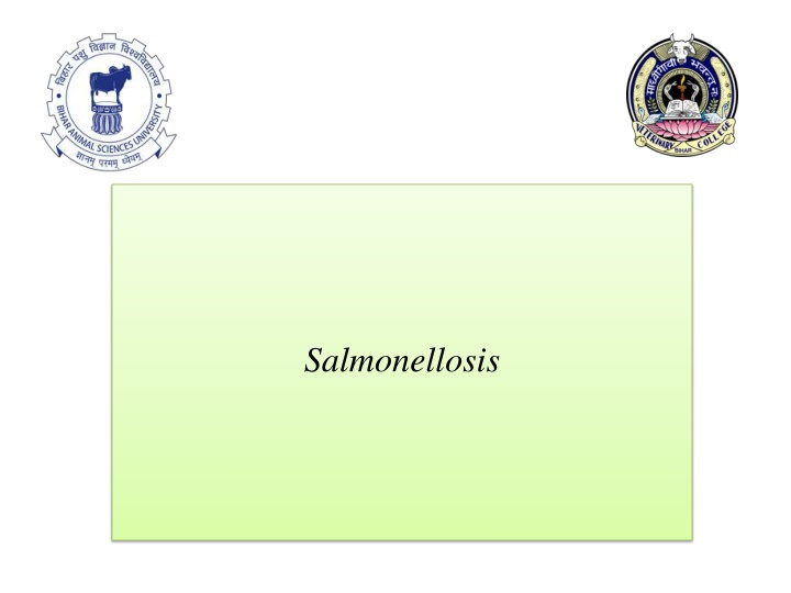 salmonellosis