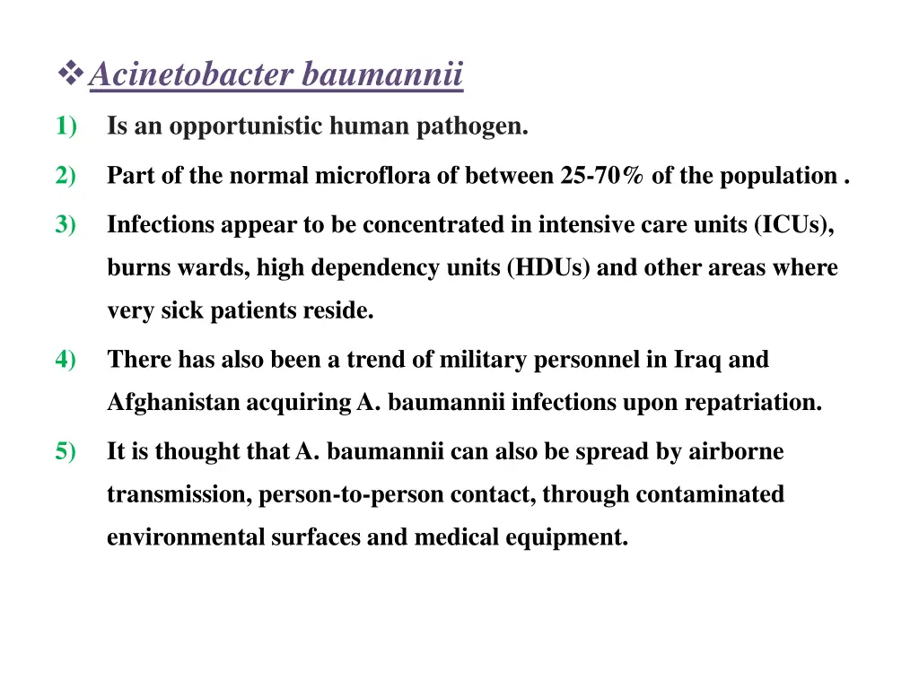 acinetobacter baumannii