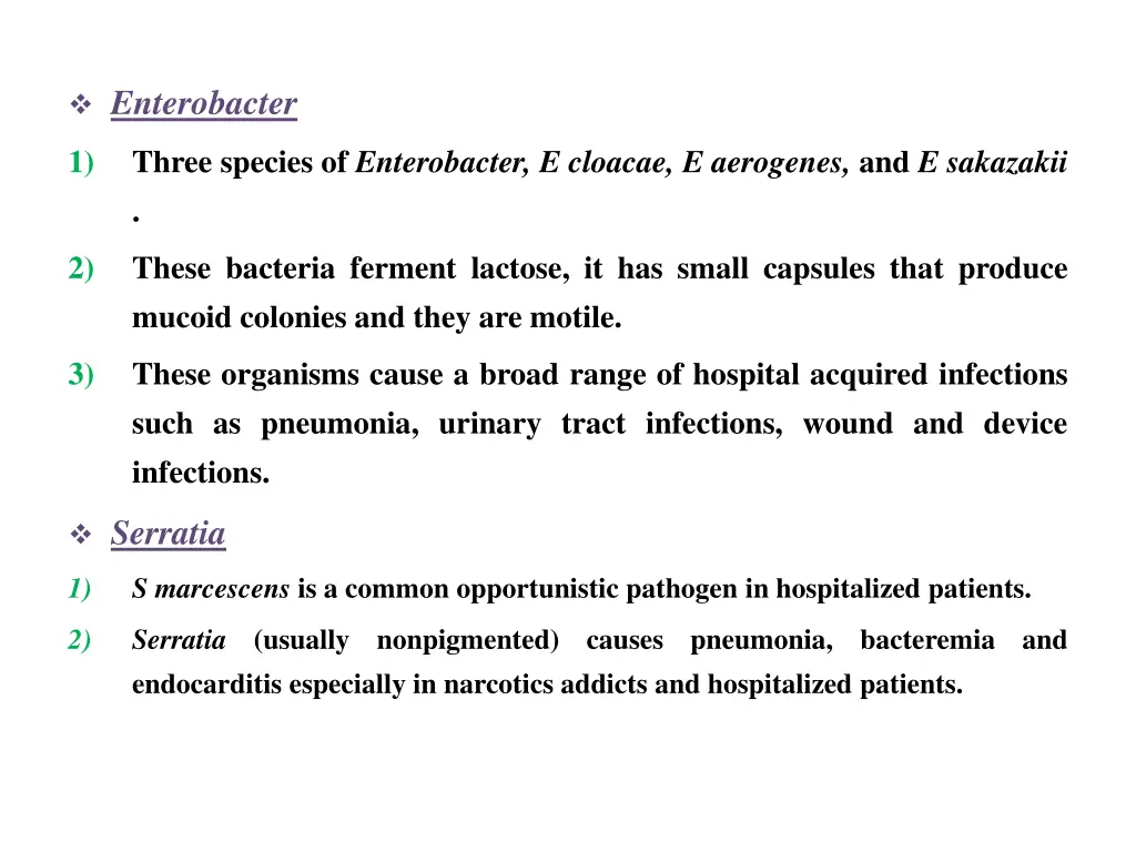 enterobacter