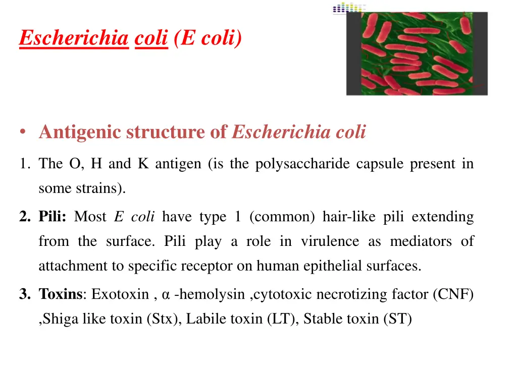 escherichia coli e coli