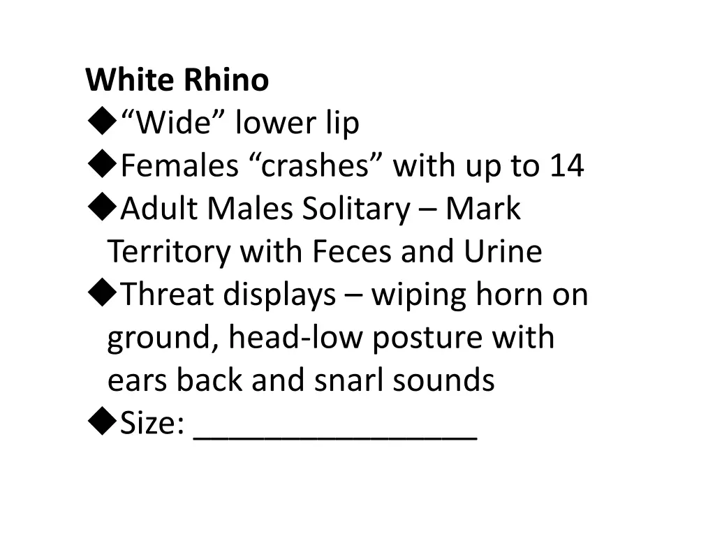 white rhino wide lower lip females crashes with