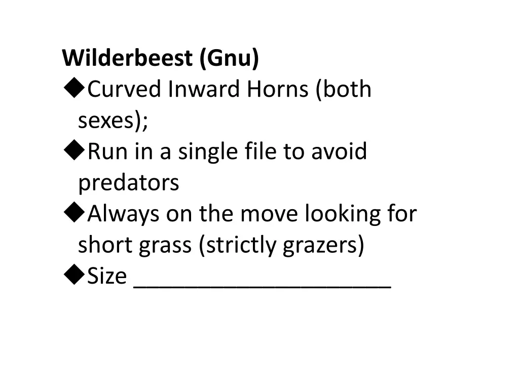 wilderbeest gnu curved inward horns both sexes