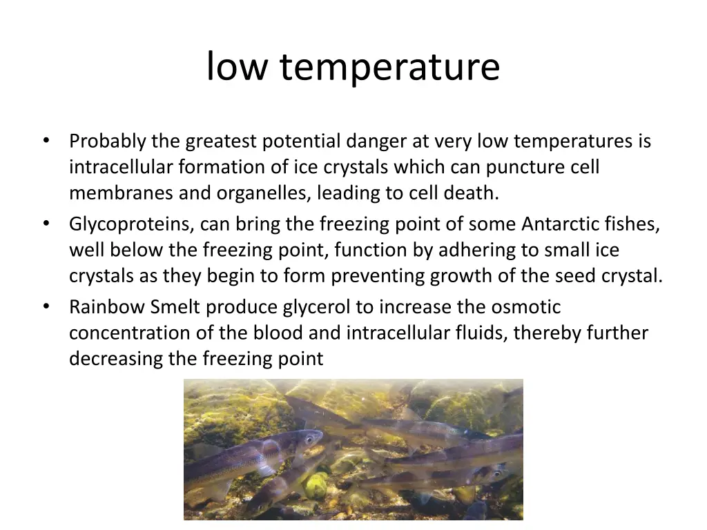 low temperature