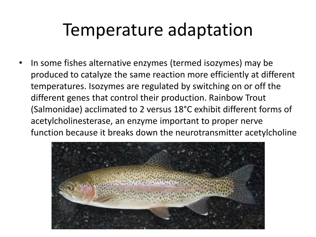 temperature adaptation 2